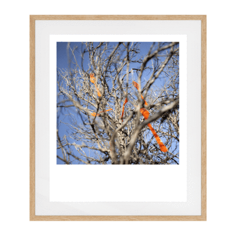 Hands All Over 02 Solid Wood Framed Art Print in Natural Frame / 83 X 68 CM by Serap Osman