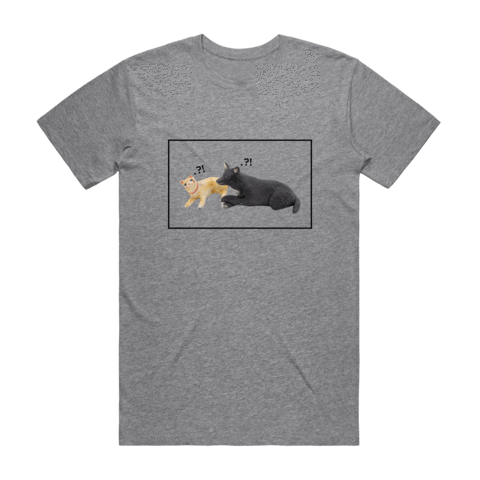 Apple & Chibi Men's 100% Organic Cotton Minimal T-shirt in Grey / XXL by erinswindow