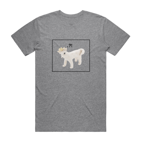Dog With A Crown Men's 100% Organic Cotton Minimal T-shirt in Grey / XXL by erinswindow