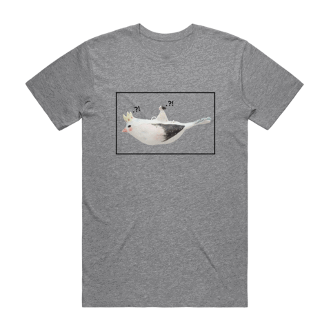 Bird Rider 01 Men's 100% Organic Cotton Minimal T-shirt in Grey / XXL by erinswindow
