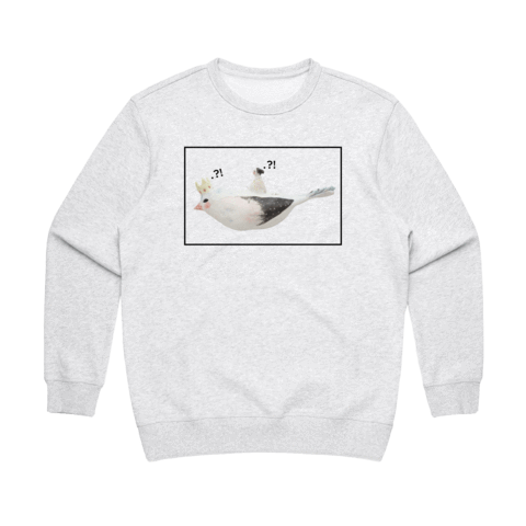 Bird Rider 01 Women's 100% Cotton Minimal Sweatshirt in Marble White / XXL by erinswindow