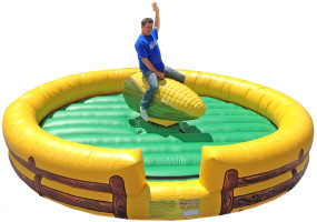 Here Comes Fun