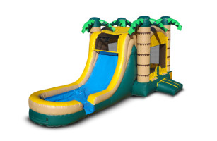 Here Comes Fun