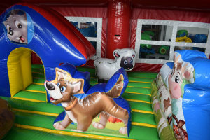 Here Comes Fun