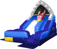 Here Comes Fun