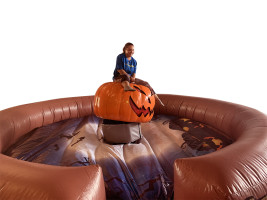 Here Comes Fun