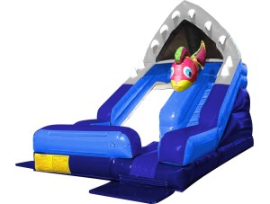 Ninja Jump