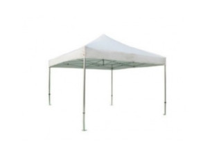 10x10 50mm Speedy Tent