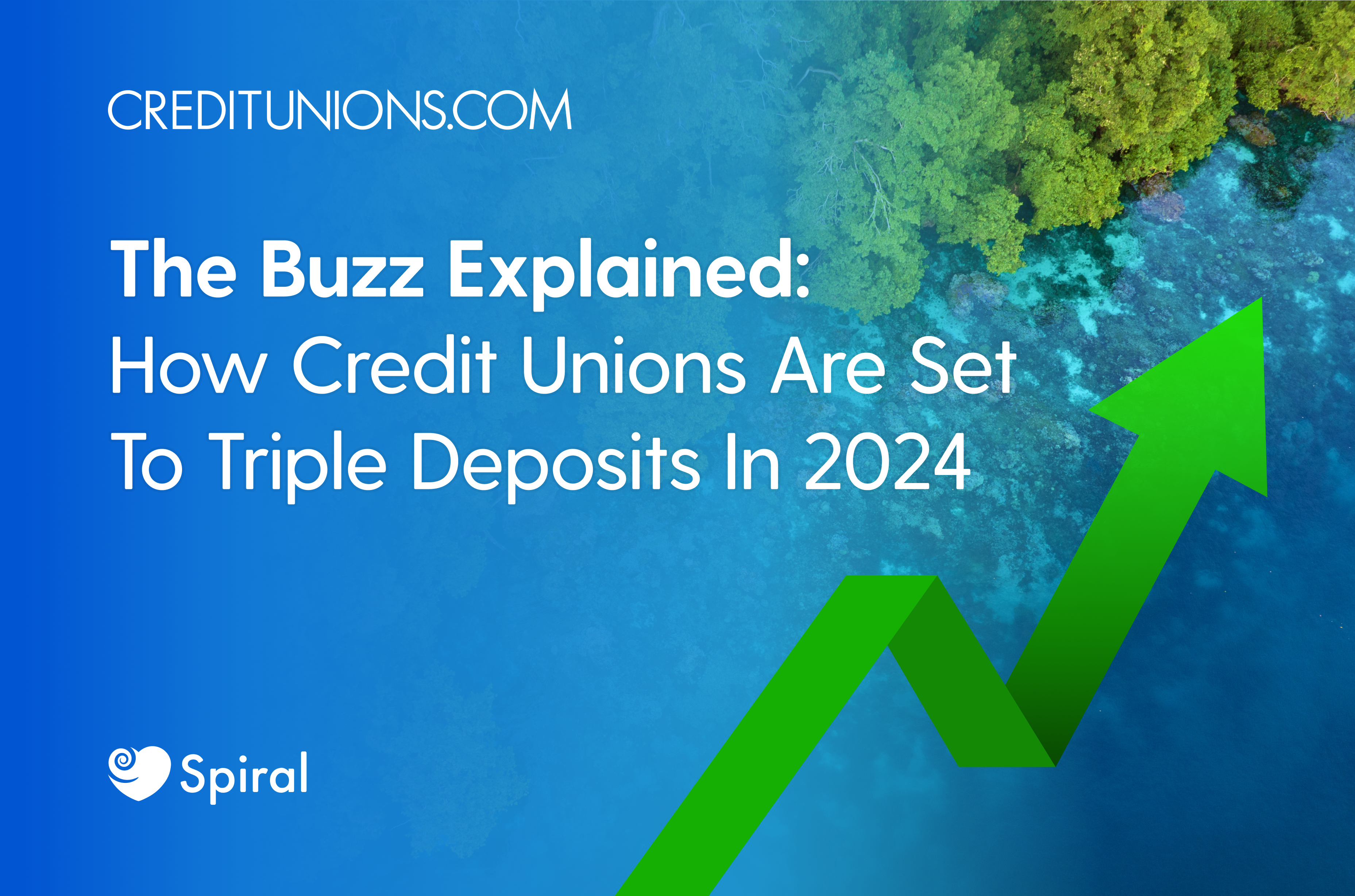 The Buzz Explained: How Credit Unions Are Set To Triple Deposits In 2024