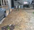 Photo of 1057 W Cornelia Ave.