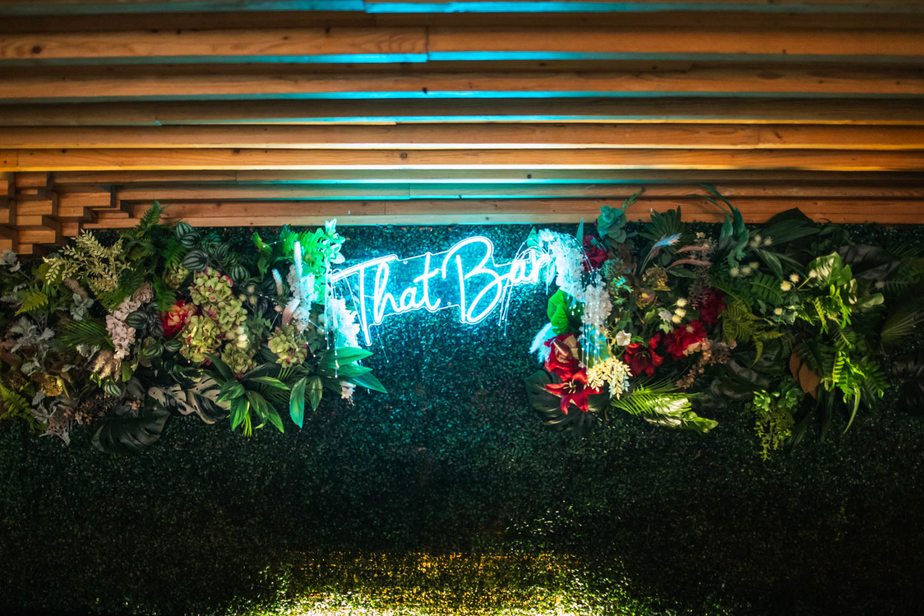 slideshow photo number 4