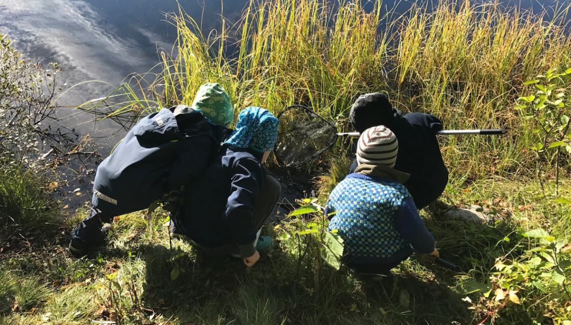 Fire unger med håv i vannkanten