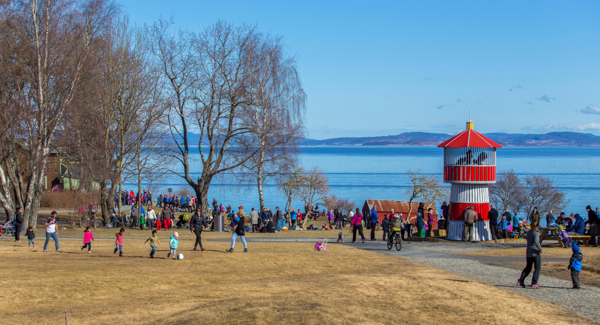 Våren er kommet... Foto: Øyvind Blomstereng