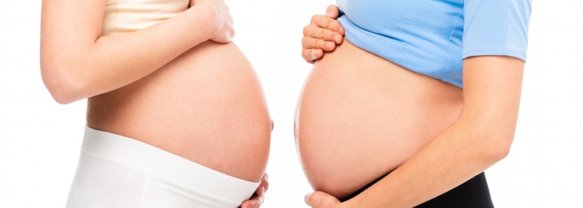 Gravid Gravid