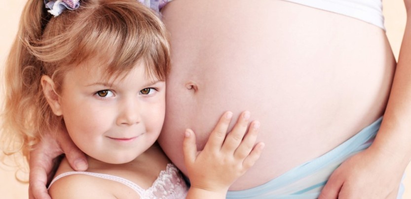 Gravid Gravid