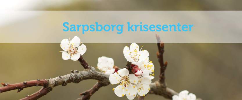 Krisesenteret Krisesenteret