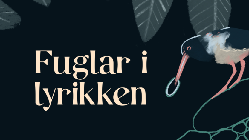 Fuglar i lyrikken. Illustrasjon: Nynorsk kultursentrum Fuglar i lyrikken. Illustrasjon: Nynorsk kultursentrum