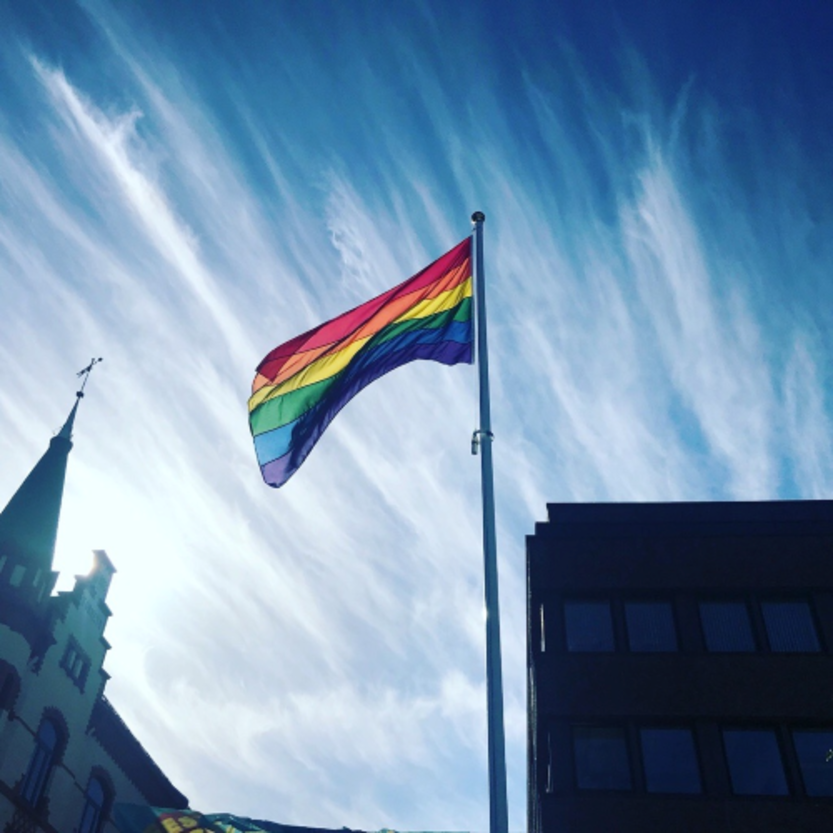 Prideflagg på Sarpsborg torg Prideflagg på Sarpsborg torg