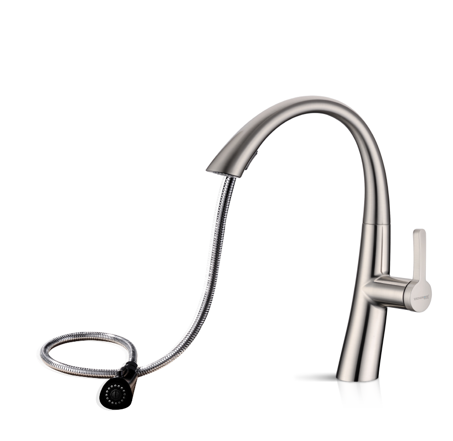 Flexible Pull-Out Sprayer