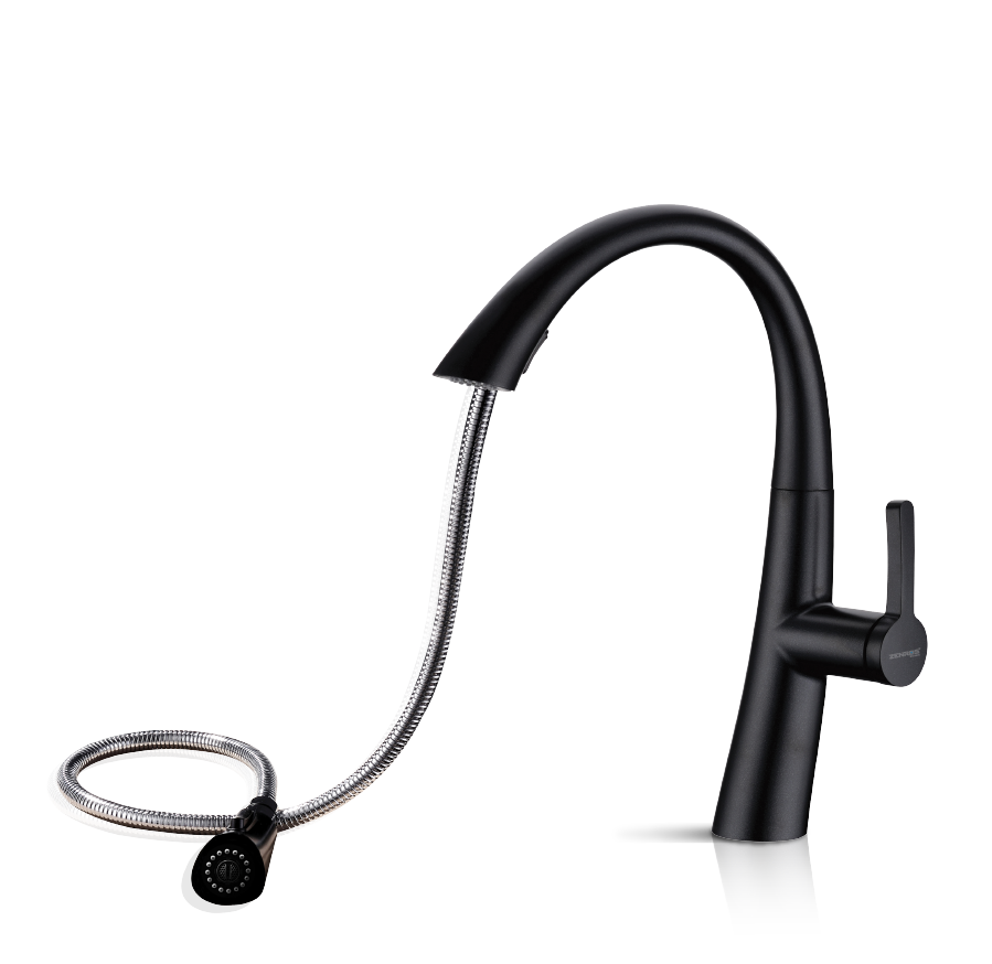 Flexible Pull-Out Sprayer