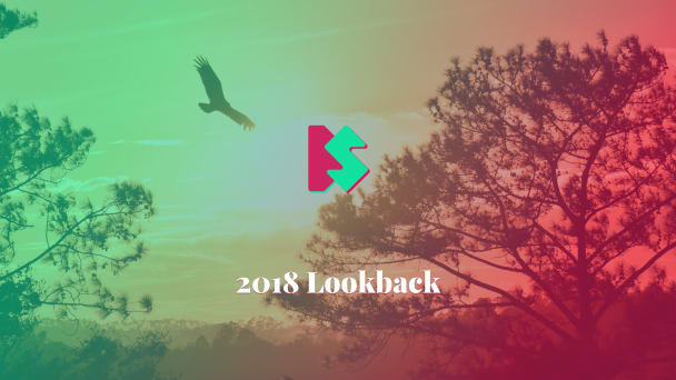 2018 Lookback