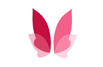 Website Addons