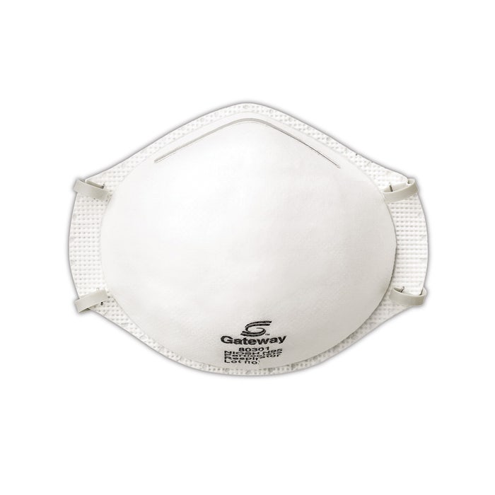 Gateway Safety 80301 - TruAir N95 Disposable Respirator (20 per