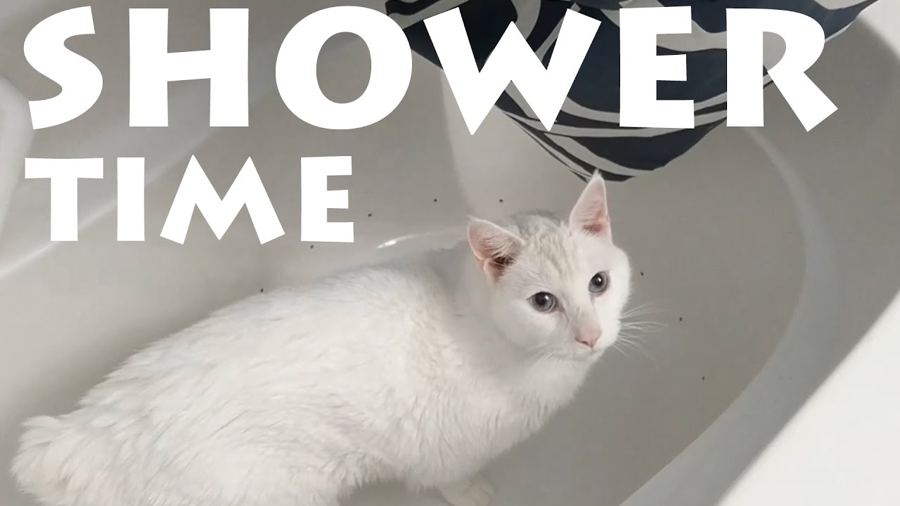 SHOWER TIME ROUTINE Ft. Narisa