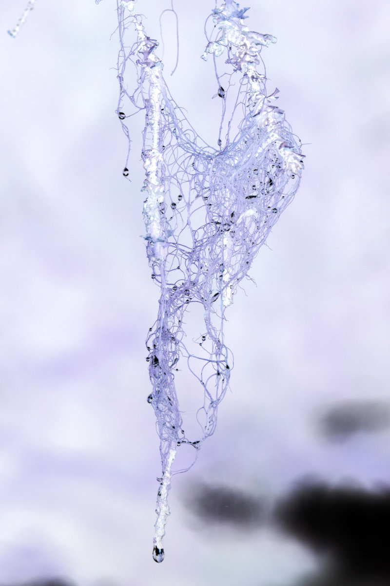26 Awesome Images of Abstract Photography - Girly Design Blog