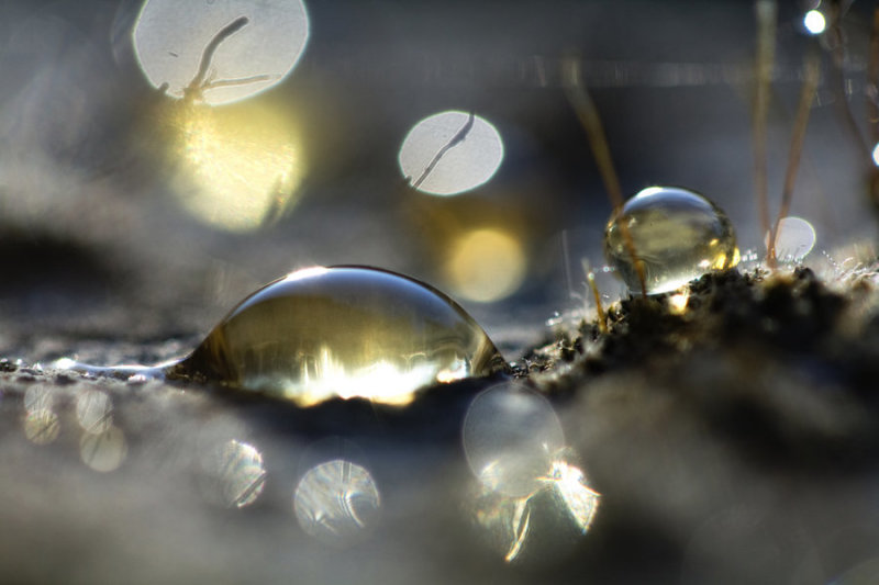 26 Awesome Images of Abstract Photography - Girly Design Blog