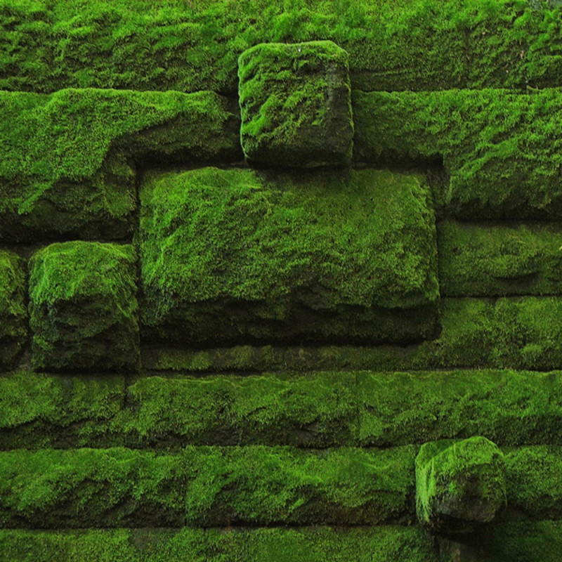 26 Awesome Images of Abstract Photography - Girly Design Blog