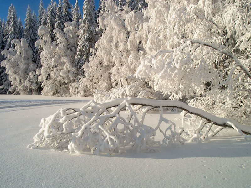 25 Breathtaking Weather and Sky Photos - Sublime99