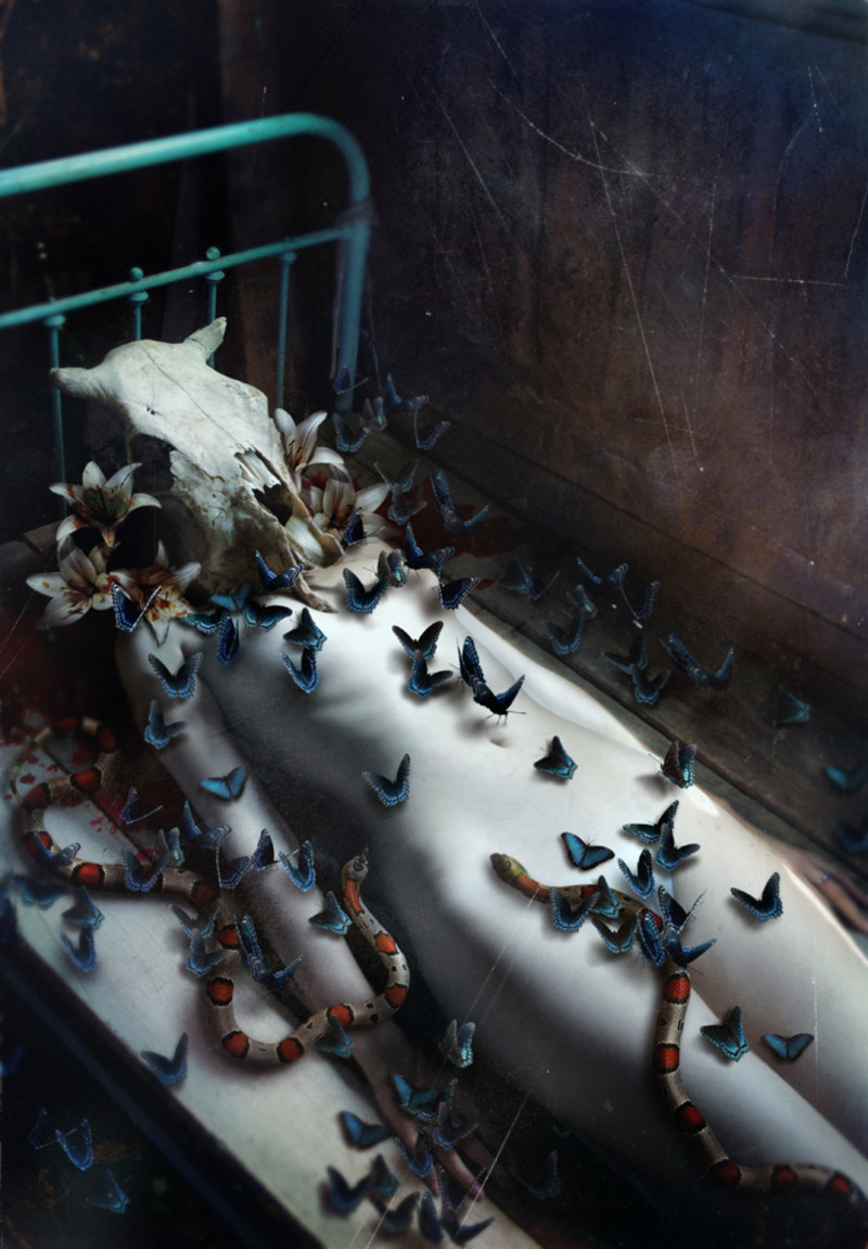 The Surreal and Creepy Photo Manipulations of Diana Dihaze - Sublime99