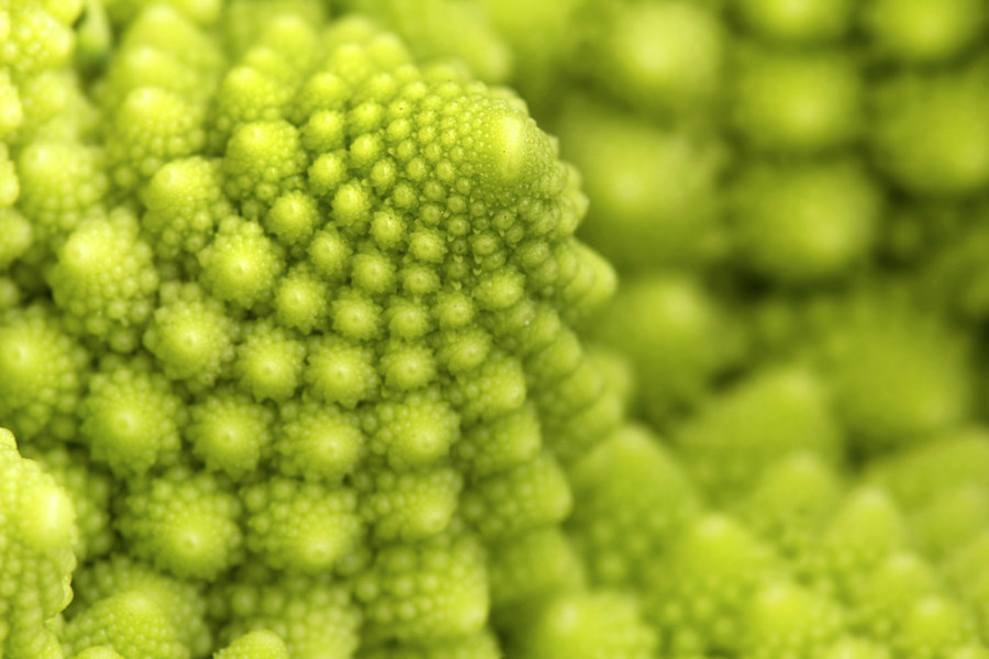 Woooahh!!! This is Extreme Close-up Photography - Sublime99