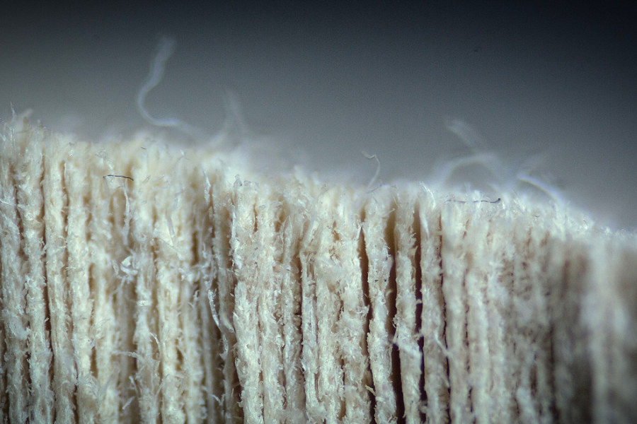 Woooahh!!! This is Extreme Close-up Photography - Sublime99