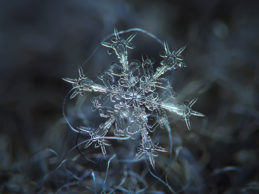 Woooahh!!! This is Extreme Close-up Photography - Sublime99
