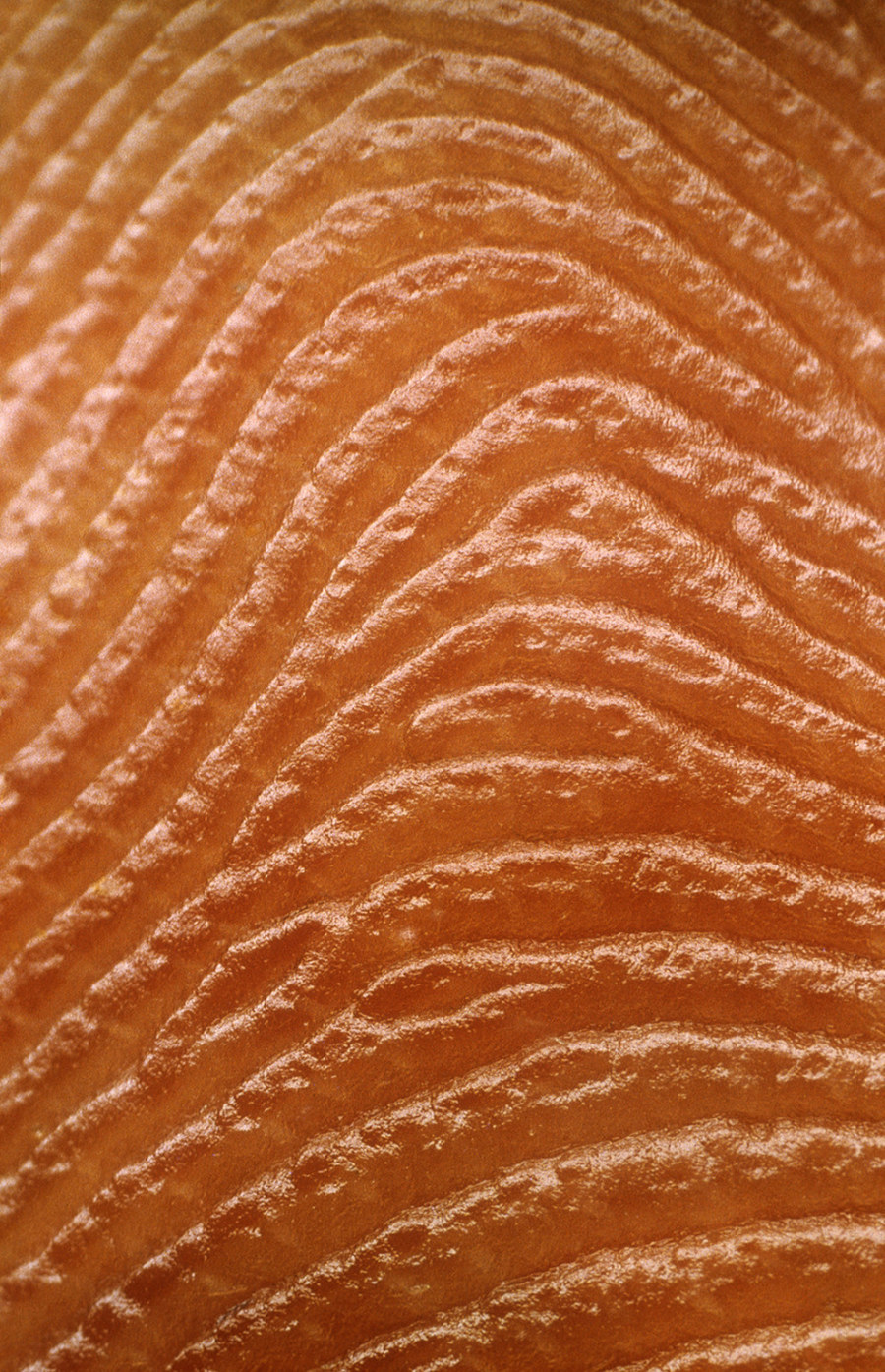Woooahh!!! This is Extreme Close-up Photography - Sublime99