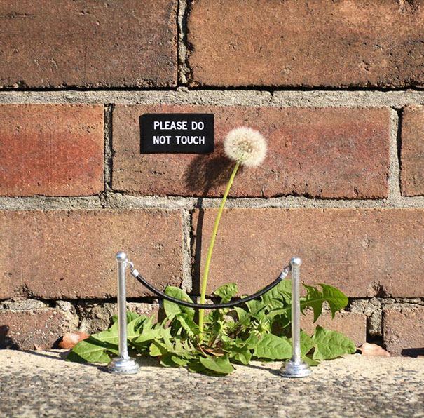 Hilarious and Clever Vandalism - Sublime99