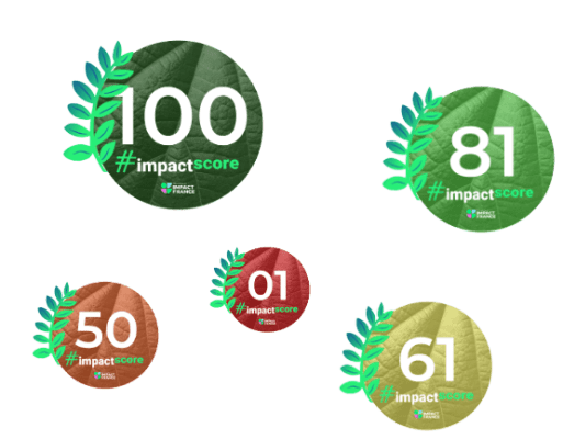 Impact Score