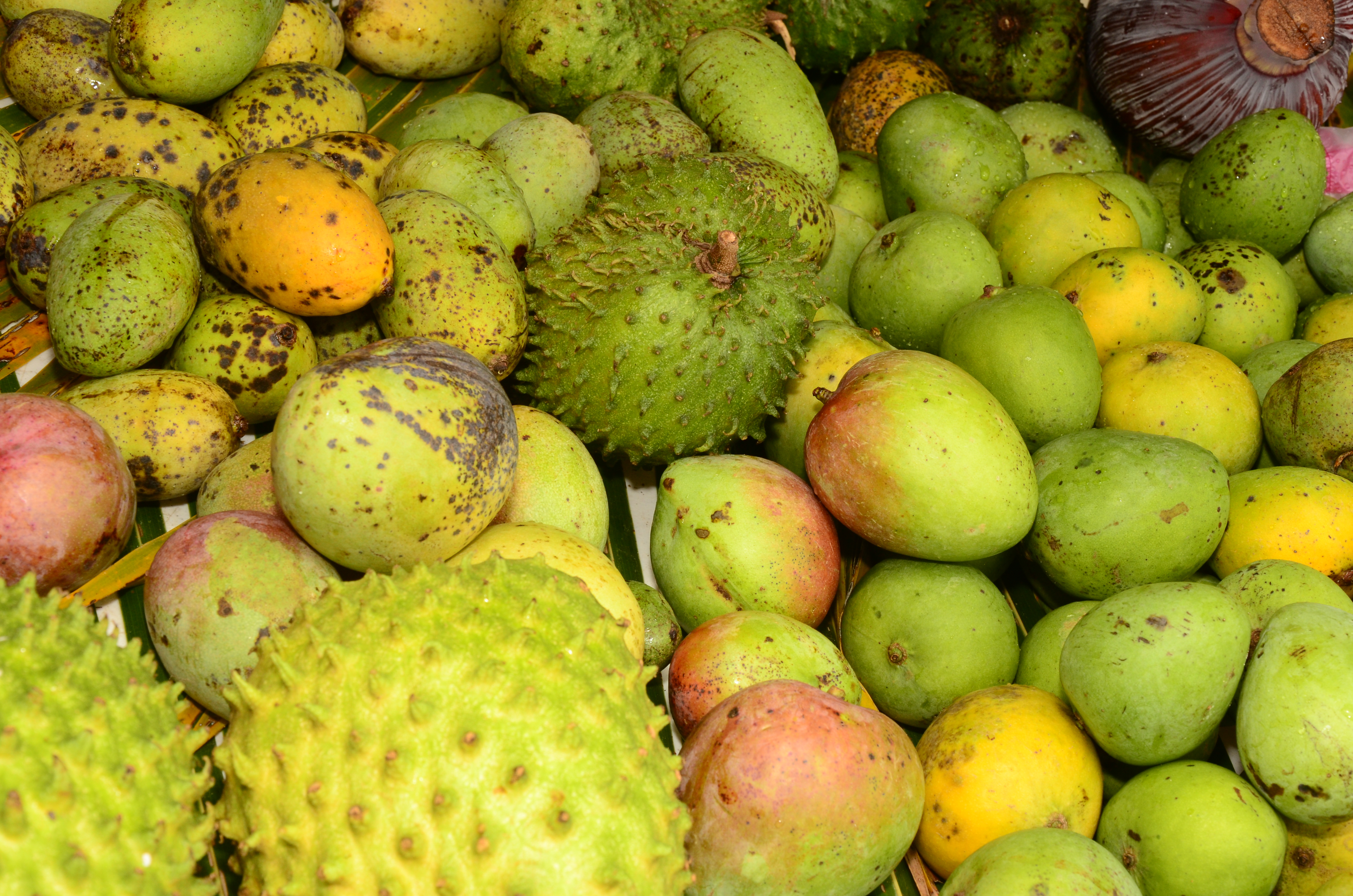 maramフルーツ グアムに本格的な夏到来！朝市に並ぶ品にも変化！