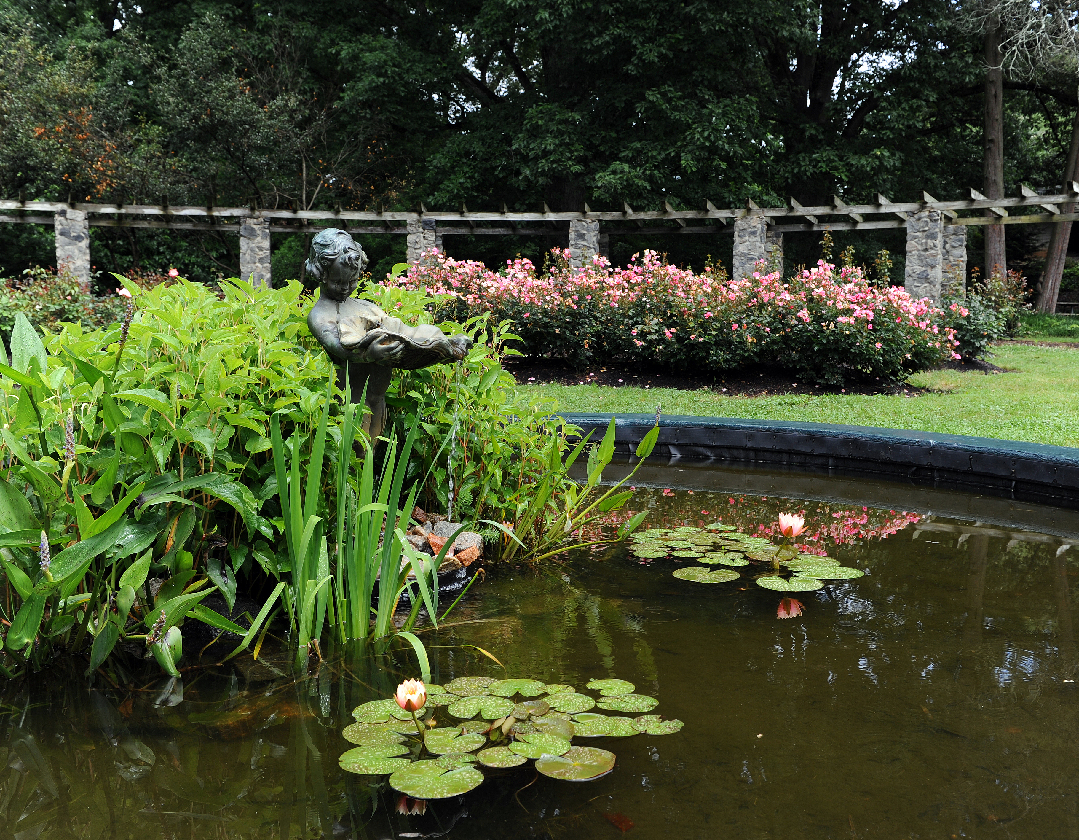 Gardens and Arboretums in Raleigh, N.C., image size:3640x2832