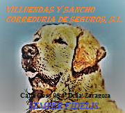 VILLUENDAS Y SANCHO CORREDURIA DE SEGUROS, S.L.