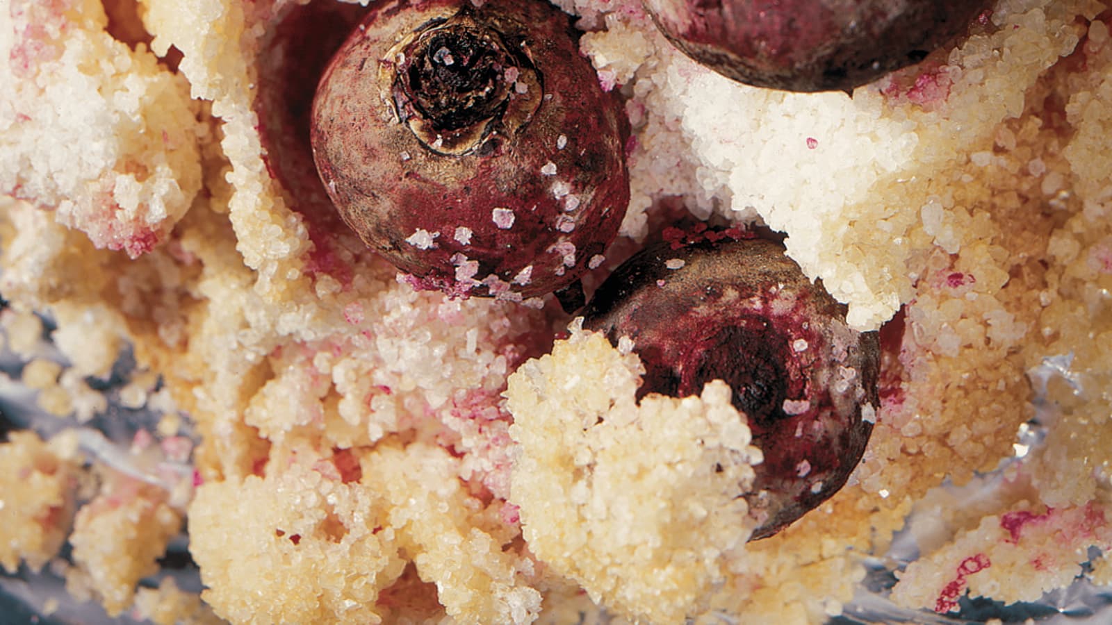 Randen in der Salzkruste mit Meerrettichcrème - Rezept | Swissmilk