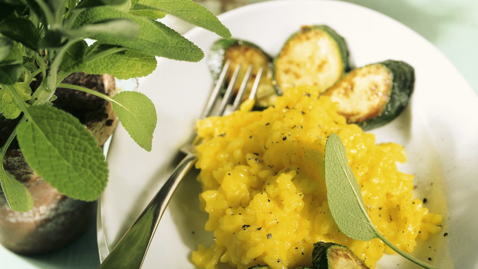 Safranrisotto mit gebratenen Zucchini - Rezept | Swissmilk