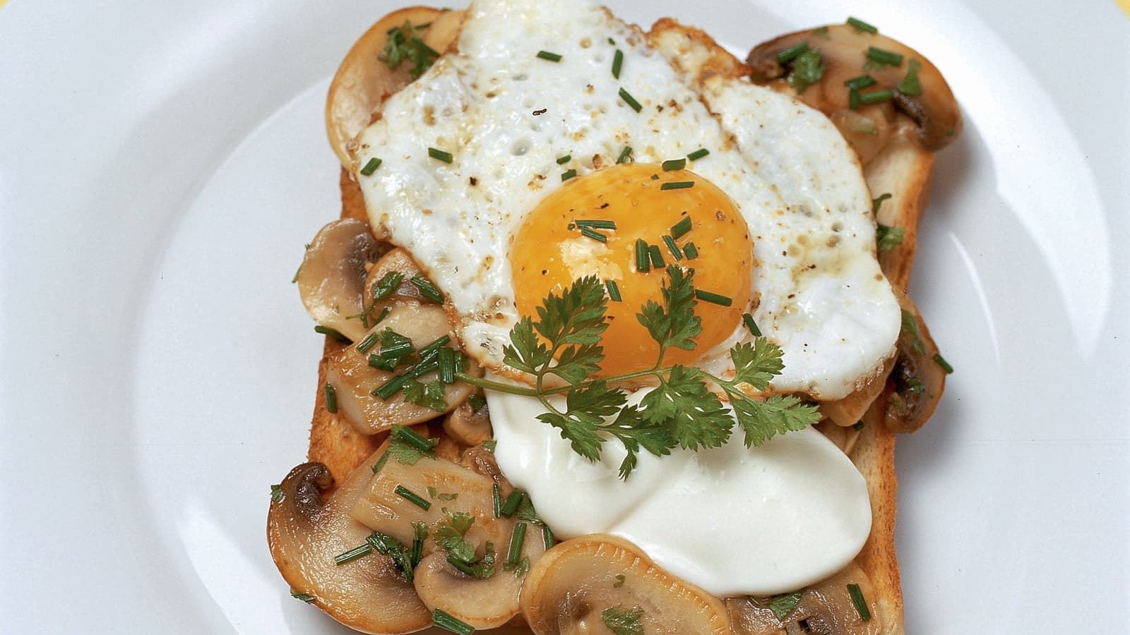 Schneller Pilztoast - Rezepte Suchen