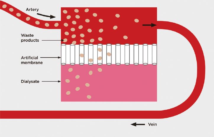 Development and Verification of Body Armor Target Geometry Created