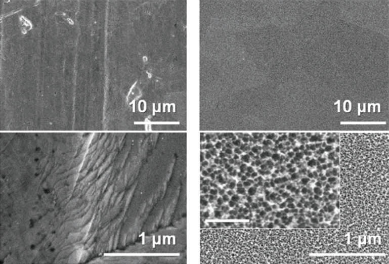 Nanotexturing Creates BacteriaKilling Spikes on Stainless Steel