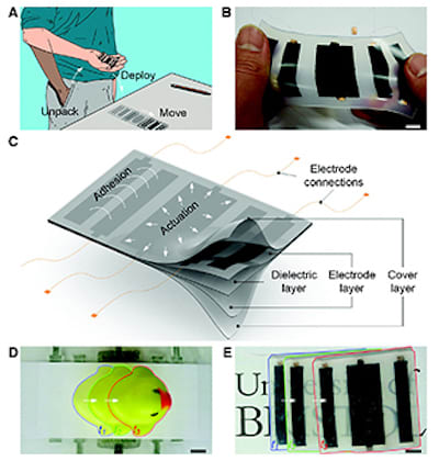 Ultrasonically embedded wires in multi-material parts produced by