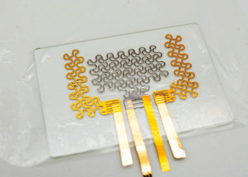 Electronic Tattoo Enables Uninterrupted Heart Monitoring for Extended  Periods - Tech Briefs