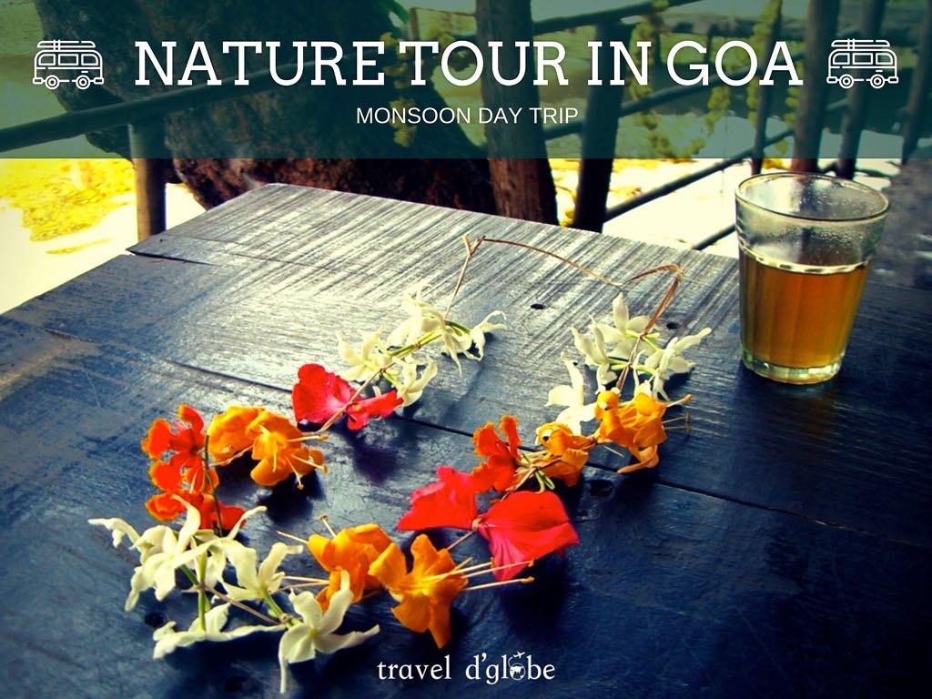 Nature Tour in Goa
